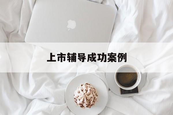 上市辅导成功案例(上市辅导成功后肯定会上市吗)泰安市